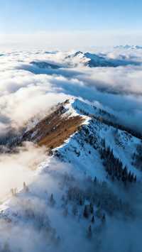 喀納斯禾木冬季遊玩攻略|||以下是一份詳細的喀納斯禾木冬