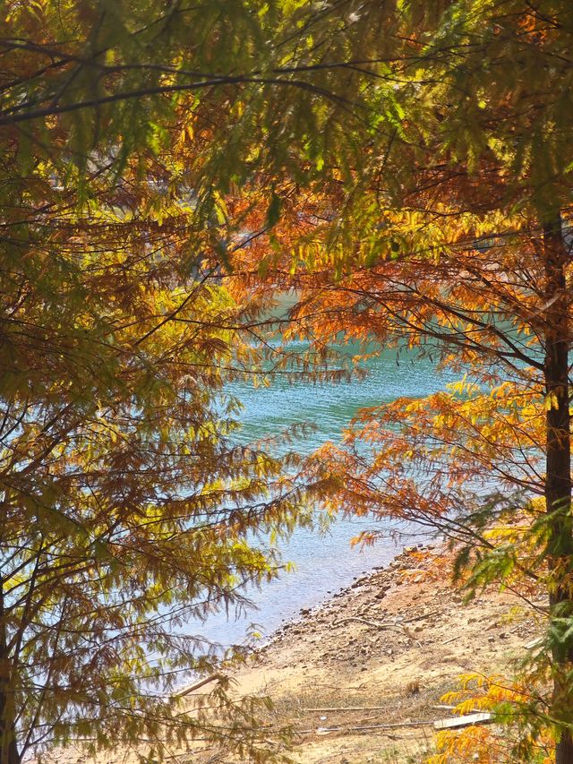 冬季來臨,白廊還值得來遊玩嗎? 冬季來臨,白廊還值得來遊玩嗎?