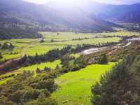 此生必駕,藏三一八。