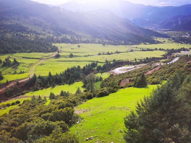 此生必駕,藏三一八。 此生必駕,藏三一八。