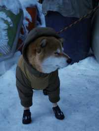 長白山萬達滑雪全攻略!粉雪天堂暢玩指南