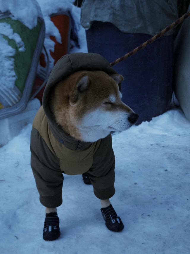 長白山萬達滑雪全攻略!粉雪天堂暢玩指南 長白山萬達滑雪全攻略!粉雪天堂暢玩指南