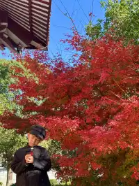 美得不像在莆田!朋友圈都在問的超絕秋景