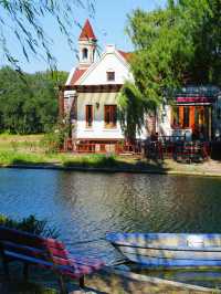 怕你們錯過!再次提醒:共青銀杏濃度已超標