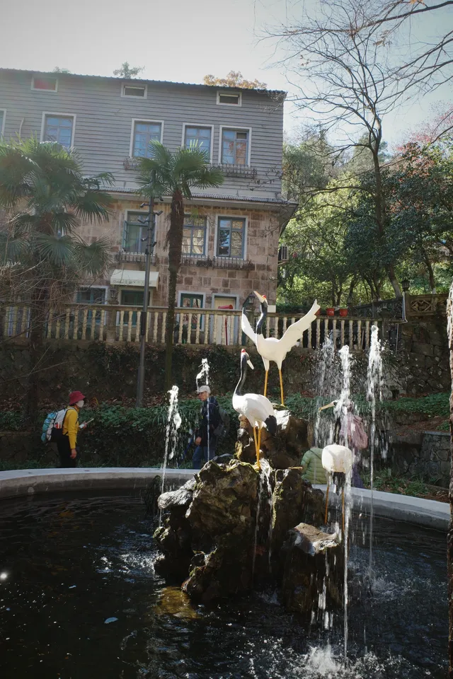 莫干山蔣公古道反穿10KM|楓葉超美 莫干山蔣公古道反穿10KM|楓葉超美