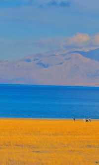 賽里木湖秋日環湖終極攻略 | 闖入一場盛大的金色夢境