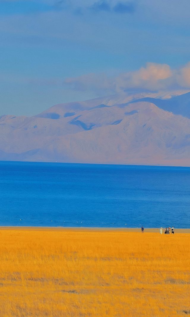 賽里木湖秋日環湖終極攻略 | 闖入一場盛大的金色夢境 賽里木湖秋日環湖終極攻略 | 闖入一場盛大的金色夢境