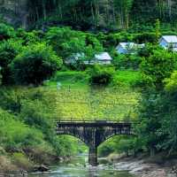 江浙滬露營天花板!安吉小杭坑太治癒了