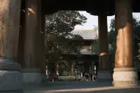 富士XT30直出! 胶片感冬日