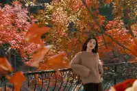 總要去莫干山看一次楓葉吧!