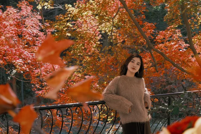 總要去莫干山看一次楓葉吧! 總要去莫干山看一次楓葉吧!