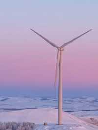 呼倫湖絕美日落機位