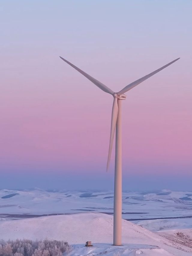 呼倫湖絕美日落機位