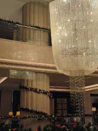 食物會說話，聖誕在發芽