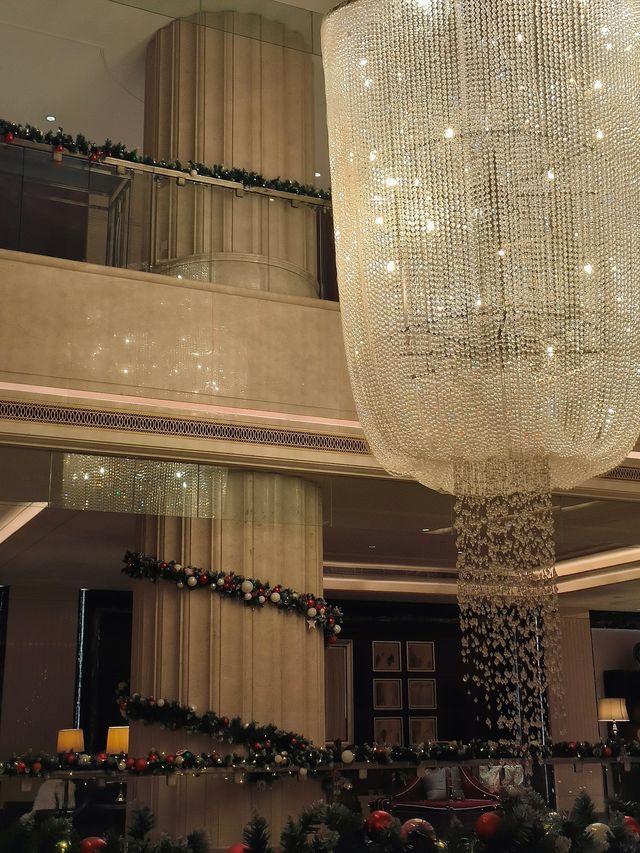 食物會說話，聖誕在發芽