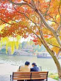 嘉興南湖賞楓指南！紅透半邊天的秋日浪漫