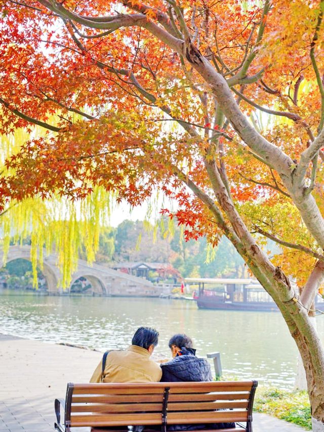 嘉興南湖賞楓指南！紅透半邊天的秋日浪漫
