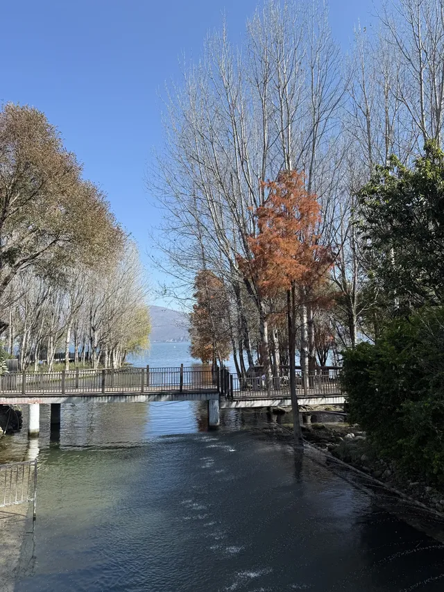 大理旅行 ｜龍龕碼頭入口這個機位太美了吧