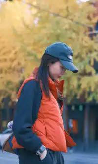 11.30實拍，局門路的銀杏都黃啦！