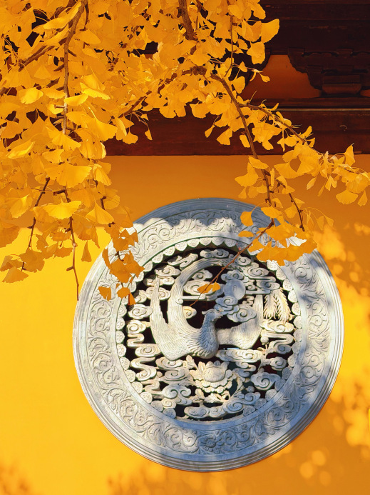 竜華寺のおすすめ観光スポット2026年（2月更新）| Trip Moments