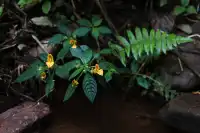 版納三課：學會在場