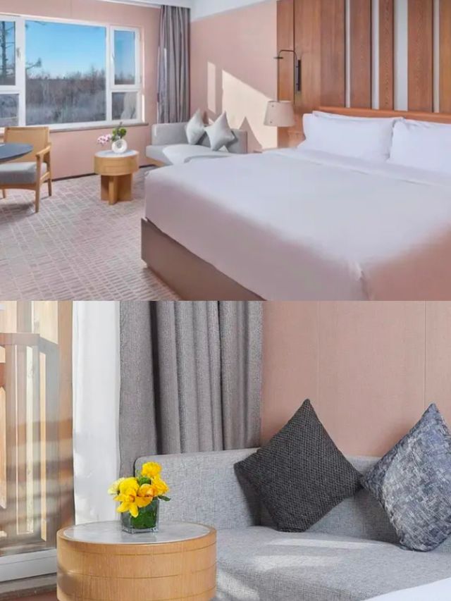 長白山冬日酒店躺平記 長白山冬日酒店躺平記