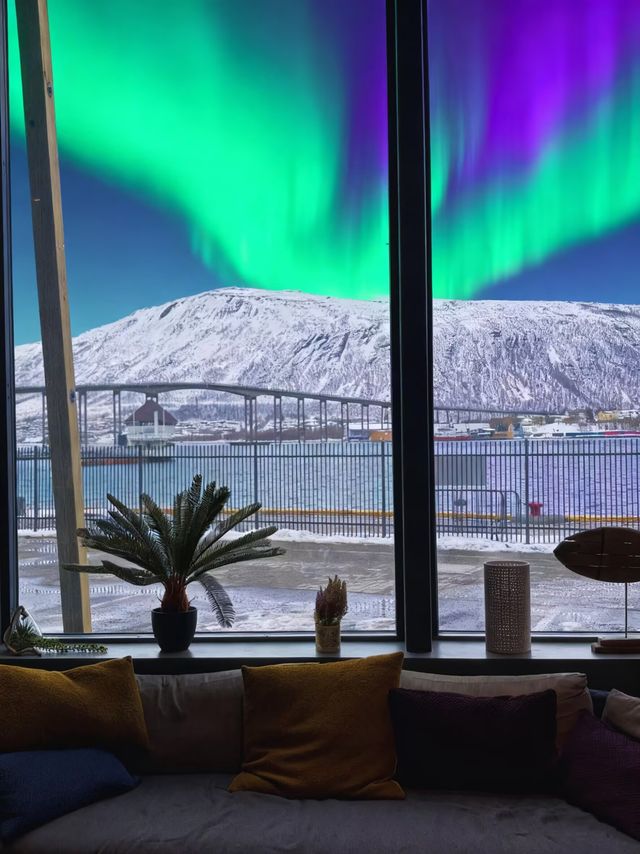 特羅姆瑟!追極光住到了寶藏酒店!好美! 特羅姆瑟!追極光住到了寶藏酒店!好美!