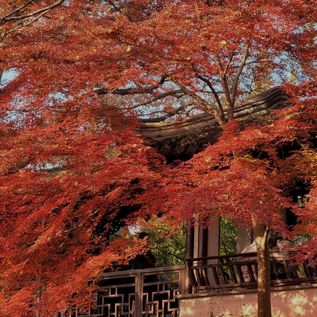 帶上這個以防萬一｜秋天的星星調色教程