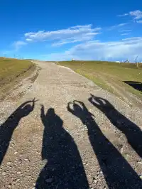 寧夏青海線Day3|闖入青海湖的藍眼淚