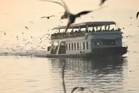 無錫｜鼋頭渚的海鷗從不失約