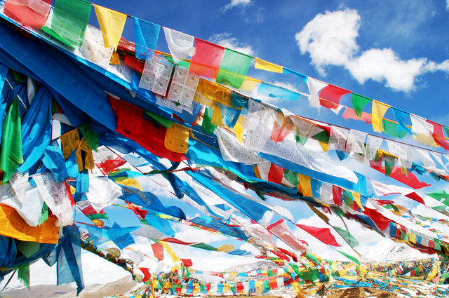 青藏11日遊快來抄作業啦