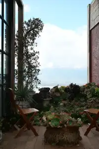 獨自旅行| 7天6晚,在雲南