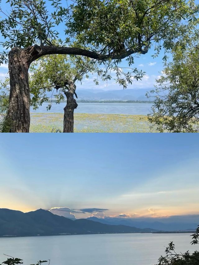 【西昌｜闖入春天最早抵達的城市，在藍花楹與邛海邊做個夢】