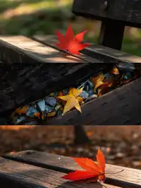 12.2live｜現實版莫奈油畫藏在武漢青山公園