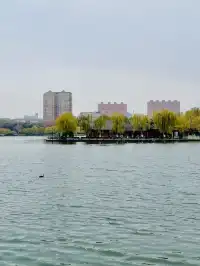 老舍：上帝把秋和冬全賜給了濟南