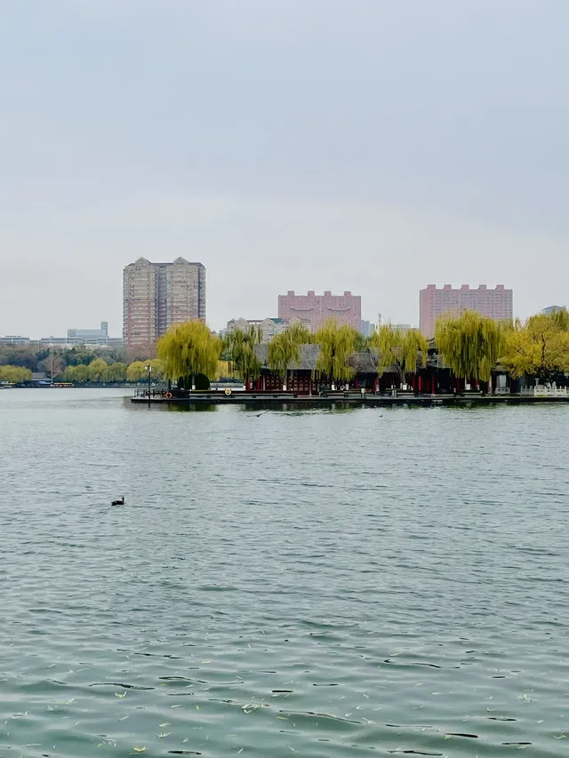 老舍：上帝把秋和冬全賜給了濟南