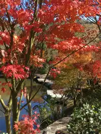 真的不是在京都!就在福州…