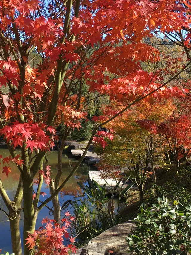 真的不是在京都!就在福州… 真的不是在京都!就在福州…