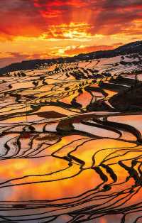 最險梯田星軌拍攝攻略