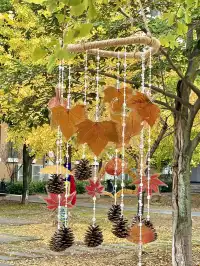 12.7實況!!福州這裡有超美銀杏打卡點!!