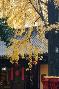 12.6 湖州秋景city walk路線