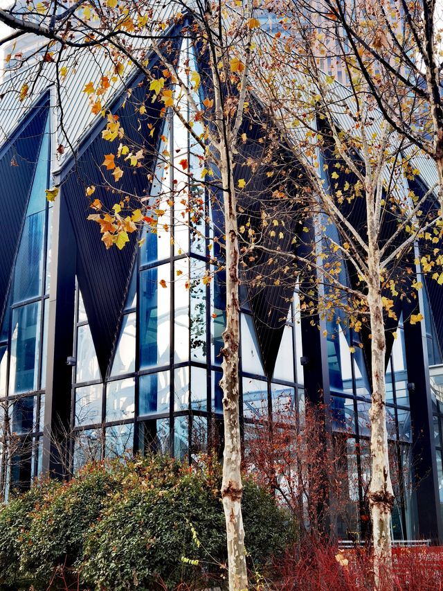 紅樹林小鎮廣場 紅樹林小鎮廣場