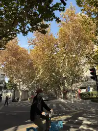 武康路聖誕CityWalk出片逛吃，不走回頭路