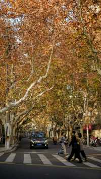 上海深秋Citywalk|梧桐葉裡的浪漫與聖誕的完美交融