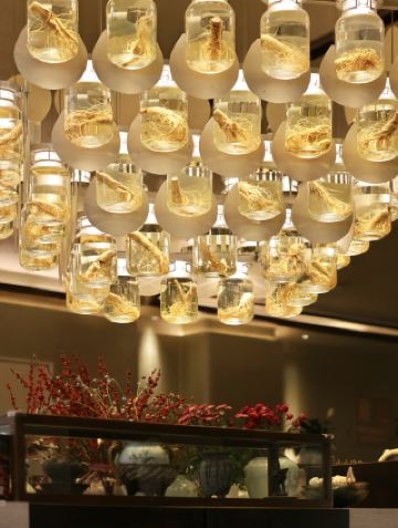 A 19-year-old ginseng chicken soup shop in Xi'an has been renovated, and the ginseng lamps are truly stunning!
