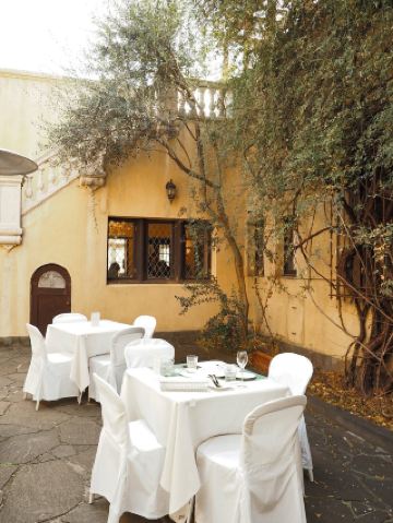 Hidden Spanish Courtyard in Shinjuku: An Andalusian Afternoon
