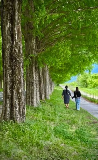 初夏の必訪スポット！湖里庵の2.4キロメートルのメタセコイア並木道がとにかく癒される