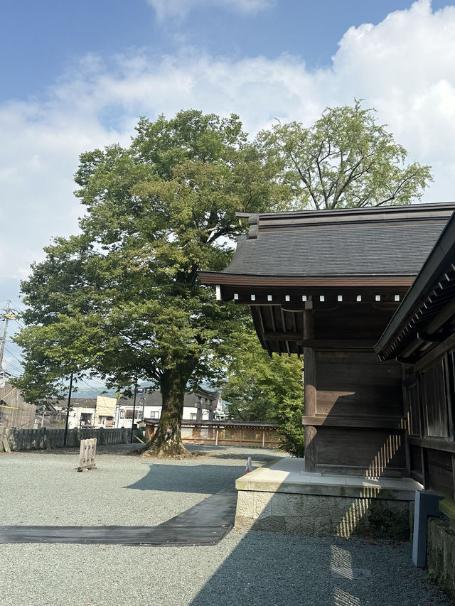 6日日本超全攻略建議收藏