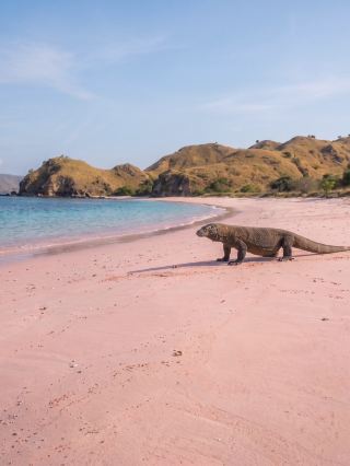 LABUAN BAJO 3天2夜：發現人間天堂
