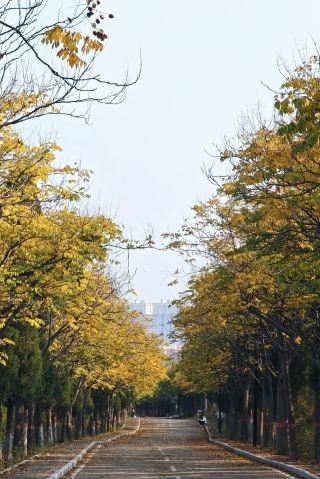 伊川西山植物園：山林の一角、人々の心を癒す場所